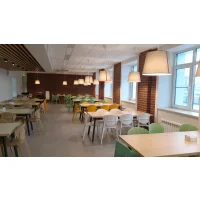 Стул Sheffilton SHT-S111-P