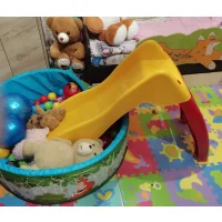 Игровая горка Sheffilton Дельфин 307