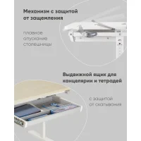 Парта растущая E601 клен