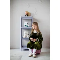 Стеллаж Sheffilton SHT-SS25-4