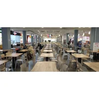 Стул Sheffilton SHT-S110-P